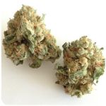 Шишки "White Widow" (Белая вдова) Гидропоника - Бошка VHQ в Ступино Шишки "White Widow" (Белая вдова) Гидропоника - Бошка VHQ в Ступино