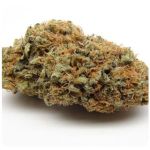 Шишки AK47 (Гидропоника, Бошка) VHQ в Ступино Шишки AK47 (Гидропоника, Бошка) VHQ в Ступино